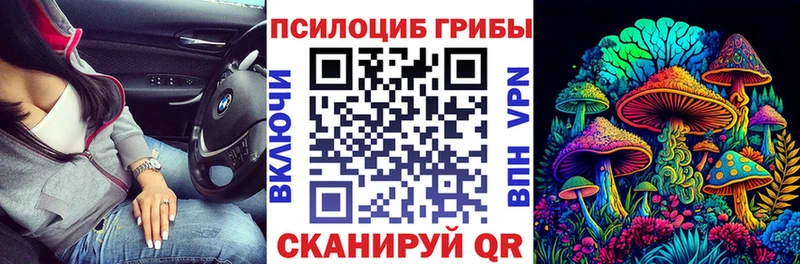 купить наркотики сайты  блэк спрут tor  Псилоцибиновые грибы GOLDEN TEACHER  Юрюзань 
